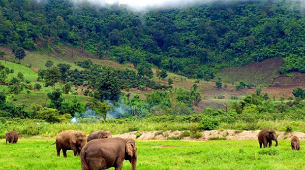 Phnom Nam Lear Sanctury