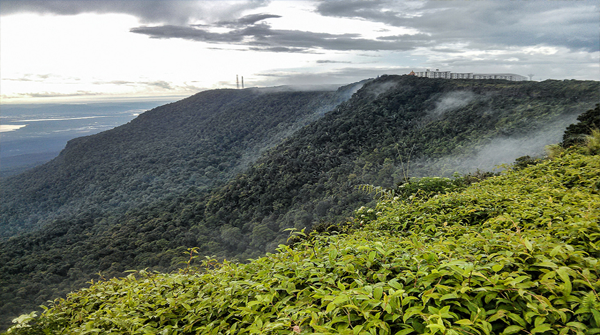 Bokor National Park